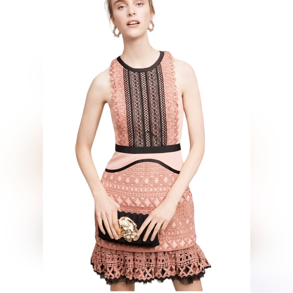 New w Tags ANTHROPOLOGIE Three Floor Flounced Lace Mini Dress size 4